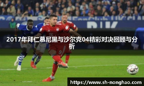 2017年拜仁慕尼黑与沙尔克04精彩对决回顾与分析