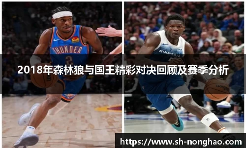 2018年森林狼与国王精彩对决回顾及赛季分析
